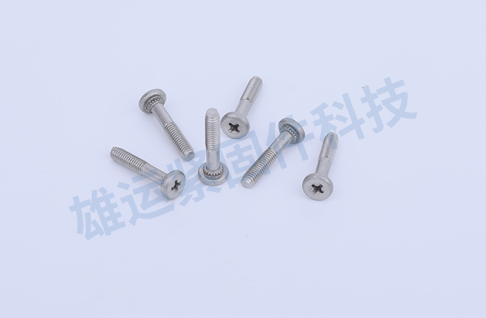 Riveting Screws with Round Head and Flower Teeth