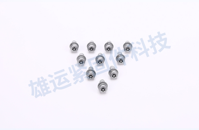 Anti-Theft and Corrosion Resistant Screws for Outd